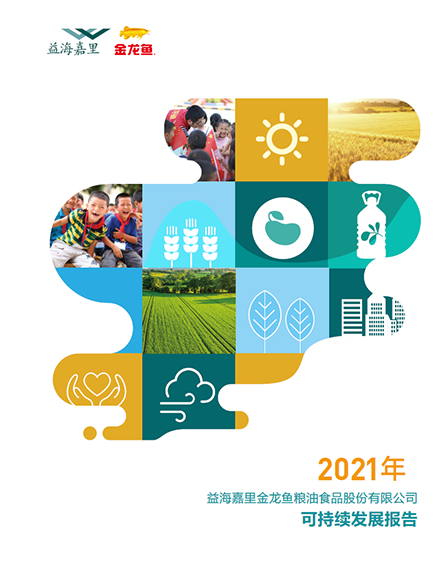 2021年可持续发展汇报